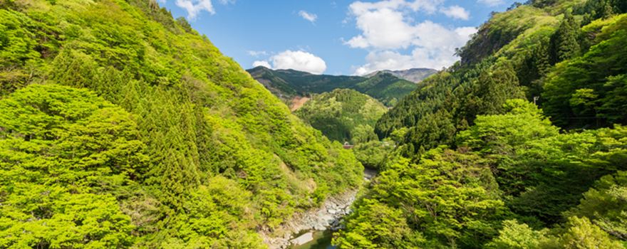 Miyoshi