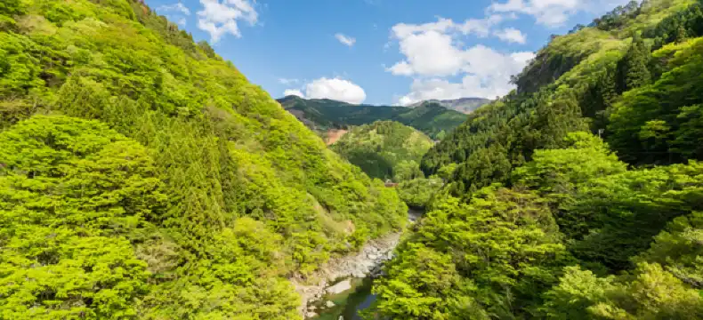 三次市酒店