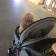 麦当劳(东城大道得来速店) User Photo