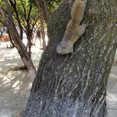 CUI HOUSE User Photo