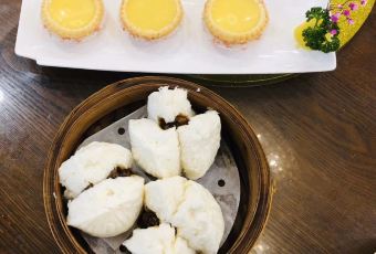 Ping Pang Pong User Photo