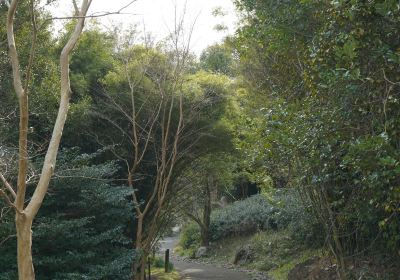 The Kochi Prefectural Makino Botanical Garden