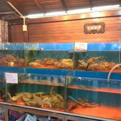 Orkid Ria Seafood Restaurant User Photo