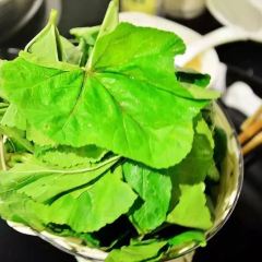 QING XI ảnh của người dùng