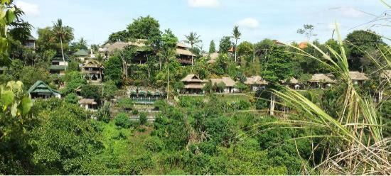 Campuhan Ridge Walk