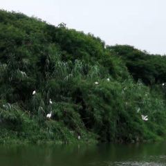 春来阁·当地农家菜(沙家浜景区店) User Photo