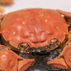 Tian Lun Li  (Xi hu dian) User Photo