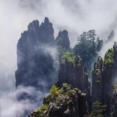 Yerenweidao ảnh của người dùng