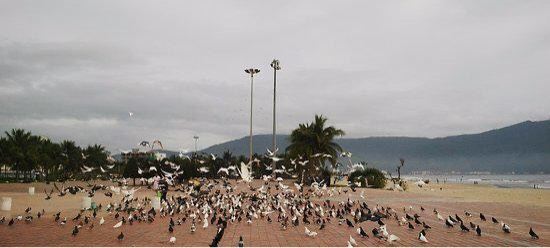 Phuoc My Beach
