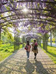 Wuxi Yangshan Tao Garden Scenic Spot