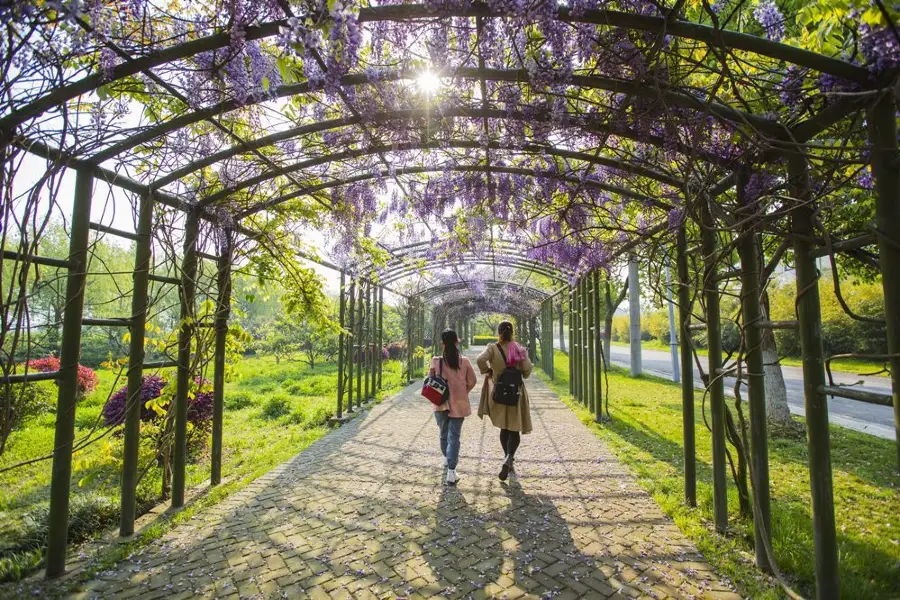 無錫陽山桃花源景區