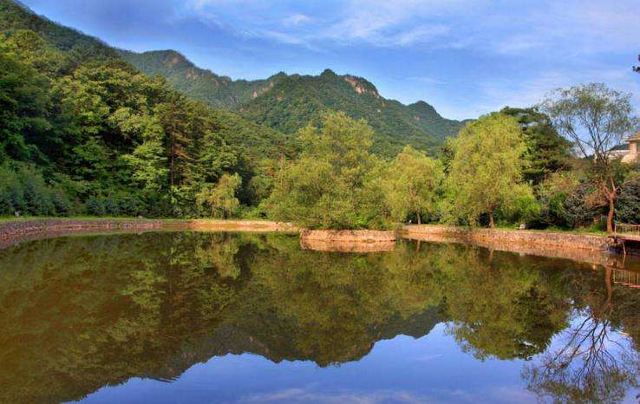 合作森林公園