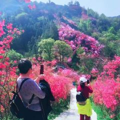 传情人土菜馆 User Photo
