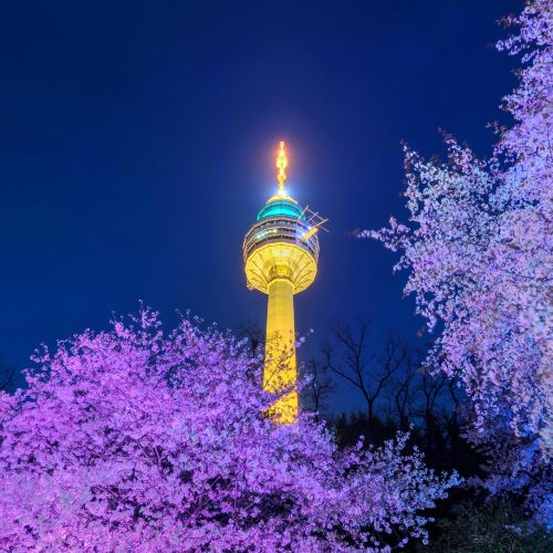 E WORLD 83 Tower Attractions - Daegu Travel Review -Apr 4, 2019Travel ...