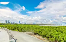 Shenzhen Mangrove Nature Reserve