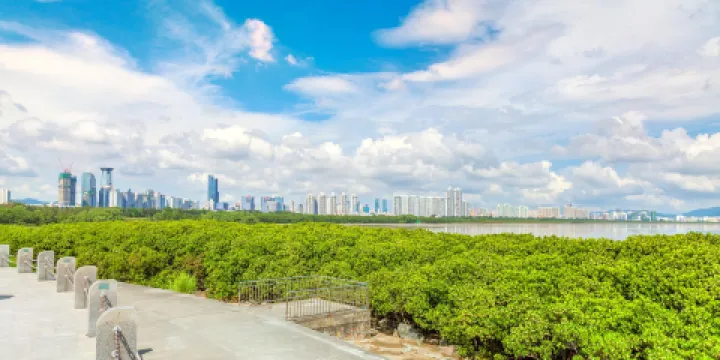 紅樹林海濱生態公園