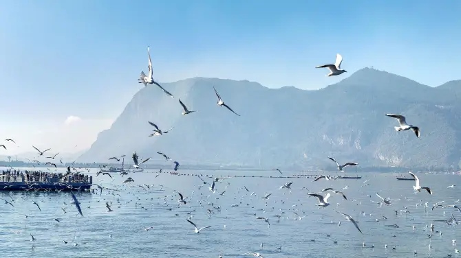 2_海埂大壩