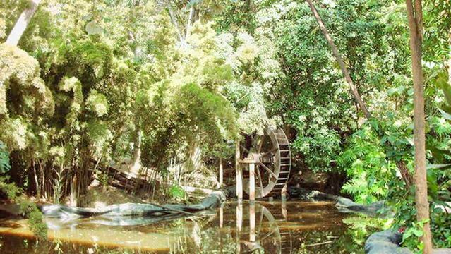 Orquideorama Jardín Botanico