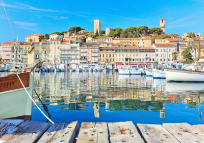 Le Vieux Port de Cannes