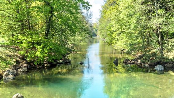 Parc Floral De La Source