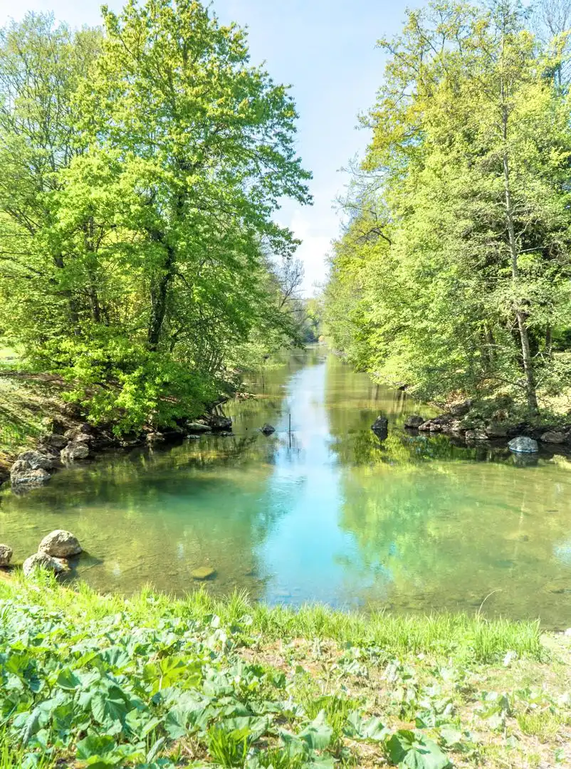 Hotels near Parc Floral De La Source