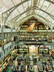 Pitt Rivers Museum