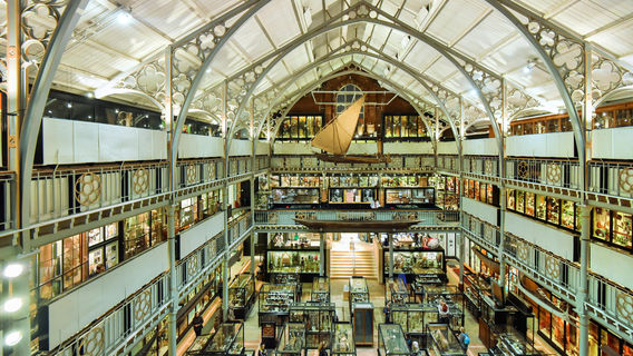 Pitt Rivers Museum