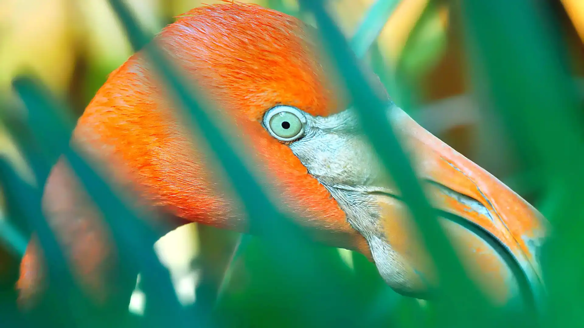 Hotels near Key West Tropical Forest & Botanical Garden