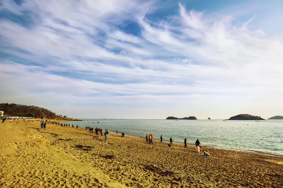 傅家莊海濱浴場趕海