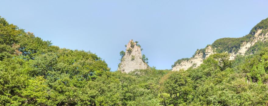 활용단어참조