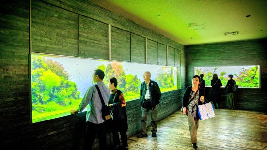 Oshiage Switch Reviews Food Drinks In Tokyo Trip Com Oshiage Switch Reviews Food Drinks In Tokyo Trip Com