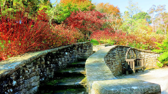 Everglades House & Gardens