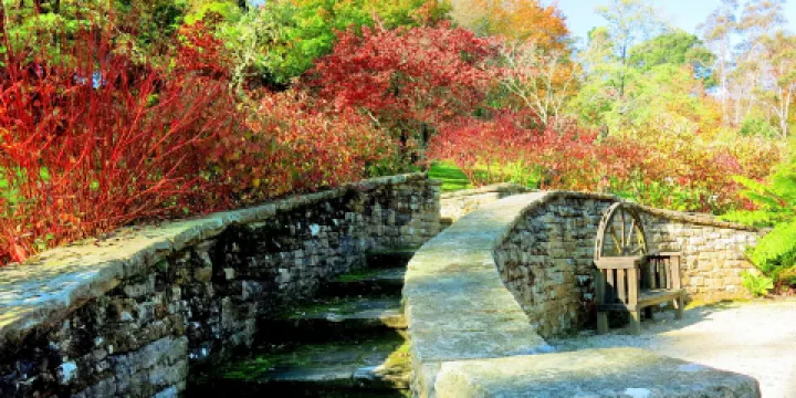 艾弗葛雷茲花園