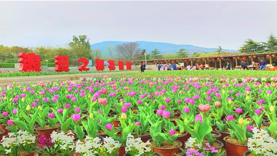 Bengbu