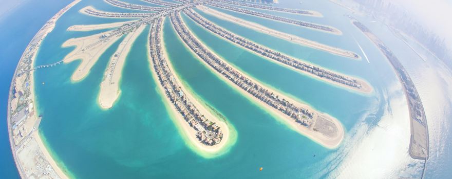 Dubai Helicopter Tour（From Dubai Police Academy）