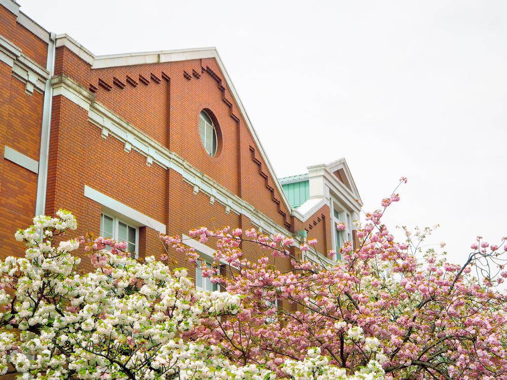 Osaka, Japan + Osaka Mint + Osaka Castle Park + Shinsaibashi + Tsutenkaku one-day tour