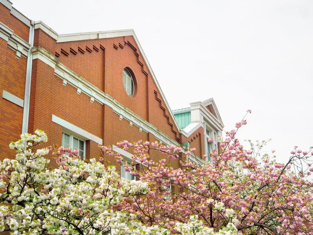 Hotels near Mint Museum