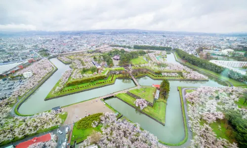 Cherry Blossom Viewing in Hakodate