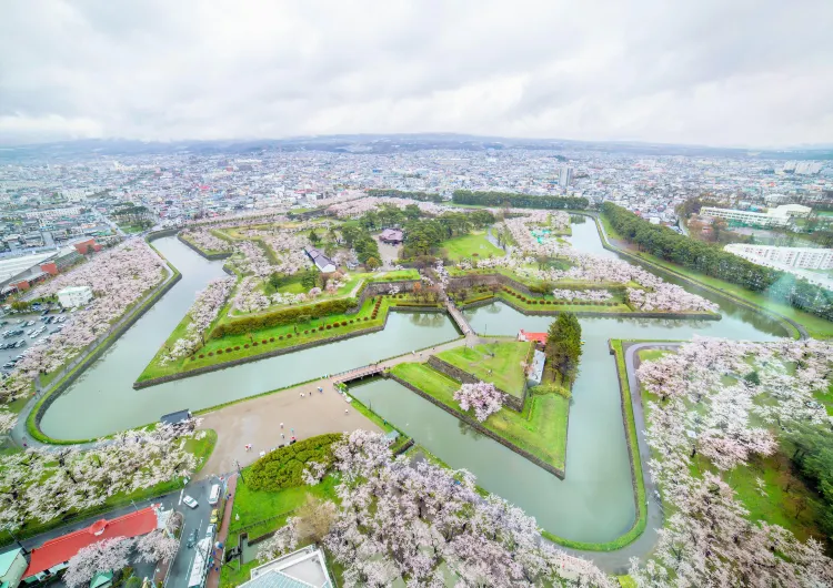 【北海道美食】2026北海道美食餐廳盤點！附當地景點推薦