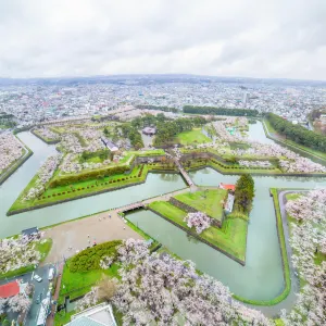 【北海道美食】2026北海道美食餐廳盤點!附當地景點推薦