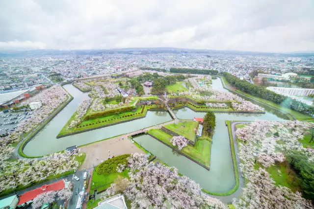 Cherry Blossom Viewing in Hakodate