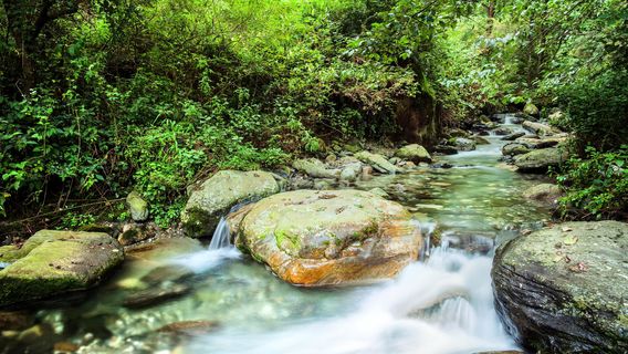 Taoxigu Ecology Manor