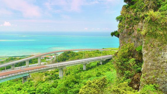 Nirai Kanai Bridge Observatory