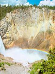 Lower Falls of the Yellowstone