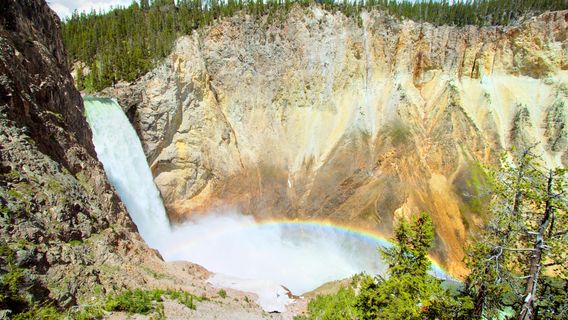 Lower Falls of the Yellowstone