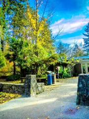 Hoyt Arboretum