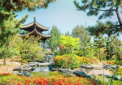 Suwon