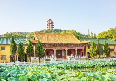 Donglin Temple