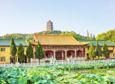 Donglin Temple