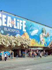 Sea Life Blackpool